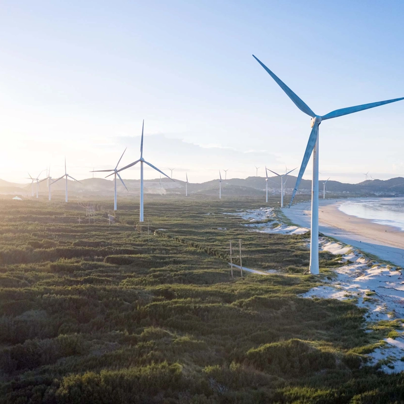 Wind turbines in a field.