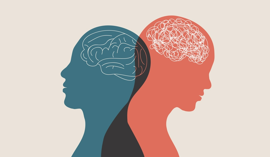 Graphic representing 2 brains.
