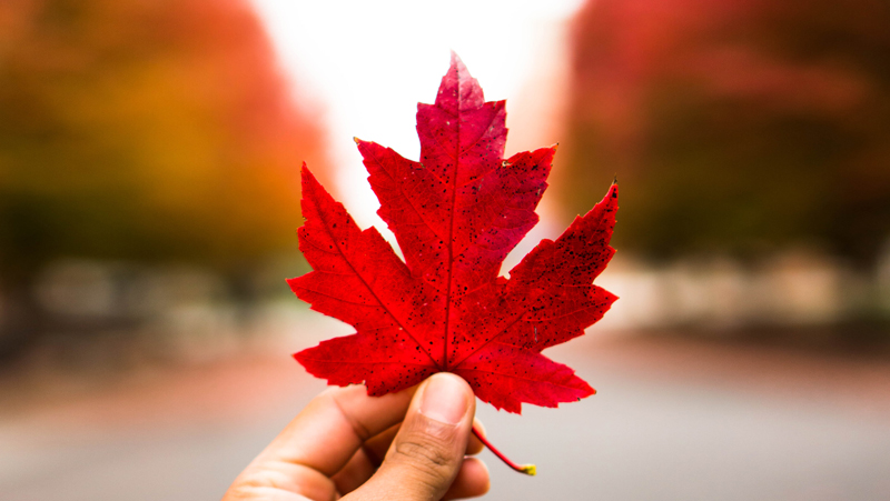 Read more about this featured post, Investment lessons from the Canada Pension Plan